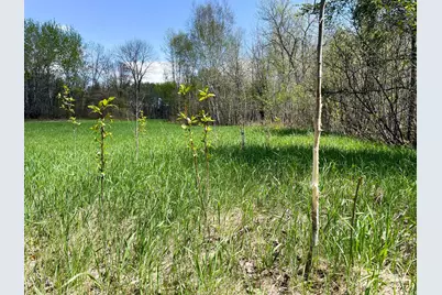 Tbd 15th Street NW, Bemidji, MN 56601 - Photo 13