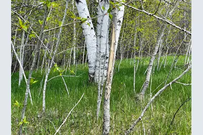 Tbd 15th Street NW, Bemidji, MN 56601 - Photo 3