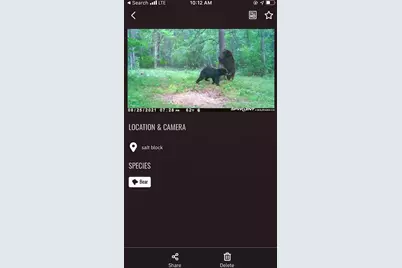 Tbd 15th Street NW, Bemidji, MN 56601 - Photo 47