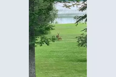 45288 Walleye Lane, Deer River, MN 56636 - Photo 25