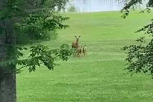 45288 Walleye Ln, Deer River, MN 56636 - Photo 25