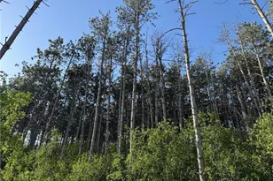 6123 Goodwin Ave S, Cottage Grove, MN 55016 - Photo 31