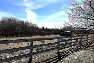 58644 280th St, Deer Creek, MN 56527 - Photo 11