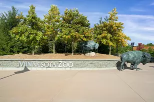 14830 Artaine Trl, Rosemount, MN 55068 - Photo 45