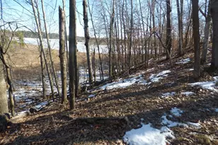 7984 Bass Lake Trail, Nisswa, MN 56468 - Photo 59