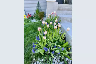 1242 Maple Lane, Carver, MN 55315 - Photo 35