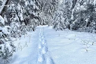 56072 350th St, Warroad, MN 56763 - Photo 49