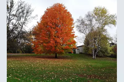 7331 175th Avenue NW, Ramsey, MN 55303 - Photo 43