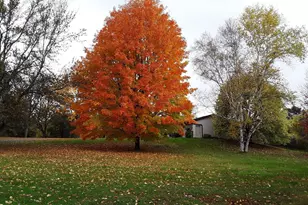 7331 175th Ave NW, Ramsey, MN 55303 - Photo 43