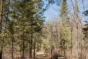 20008 County 84, Akeley, MN 56433 - Photo 37