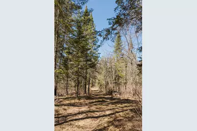 20008 County 84, Akeley, MN 56433 - Photo 37