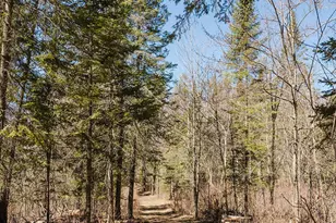 20008 County 84, Akeley, MN 56433 - Photo 37