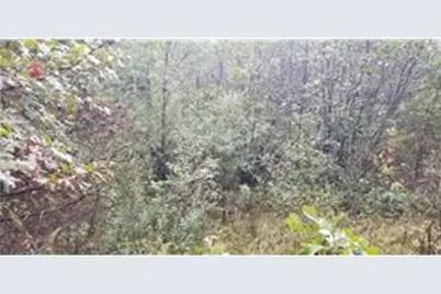 Lot 4 Paulsen Lake Lane, Osceola, WI 54020 - Photo 9