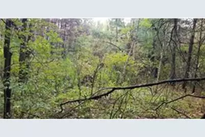 Lot 3 Paulsen Lake Lane, Osceola, WI 54020 - Photo 5