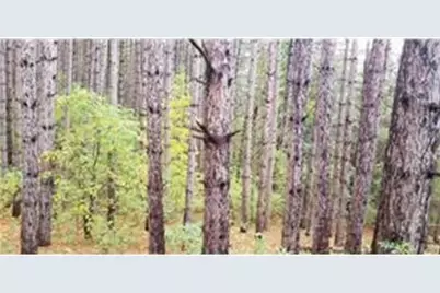 Lot 3 Paulsen Lake Lane, Osceola, WI 54020 - Photo 3