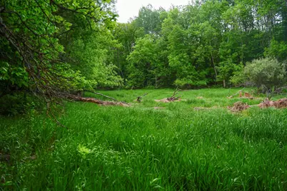 Tbd- 315th Avenue, Laporte, MN 56461 - Photo 11