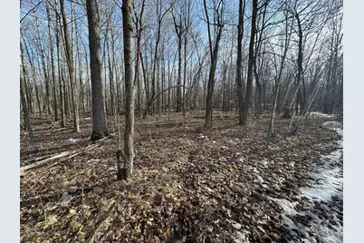 Tbd- 315th Avenue, Laporte, MN 56461 - Photo 9