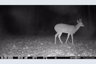 Tbd- 315th Avenue, Laporte, MN 56461 - Photo 29