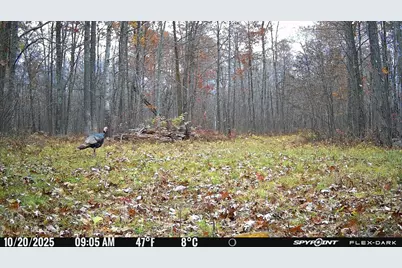 Tbd- 315th Avenue, Laporte, MN 56461 - Photo 33