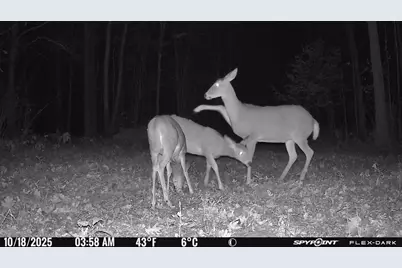 Tbd- 315th Avenue, Laporte, MN 56461 - Photo 19