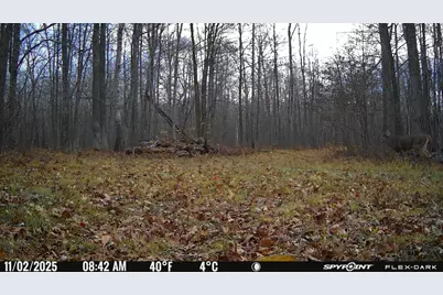 Tbd- 315th Avenue, Laporte, MN 56461 - Photo 15