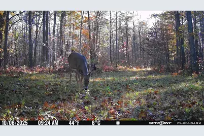 Tbd- 315th Avenue, Laporte, MN 56461 - Photo 23