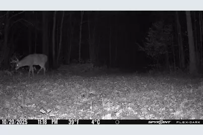 Tbd- 315th Avenue, Laporte, MN 56461 - Photo 15