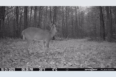 Tbd- 315th Avenue, Laporte, MN 56461 - Photo 17