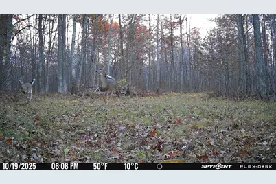 Tbd- 315th Avenue, Laporte, MN 56461 - Photo 25