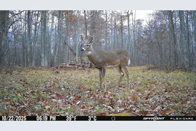 Tbd- 315th Avenue, Laporte, MN 56461 - Photo 13