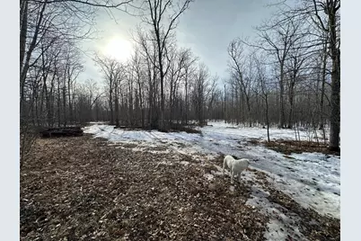 Tbd 315th Avenue, Laporte, MN 56461 - Photo 15