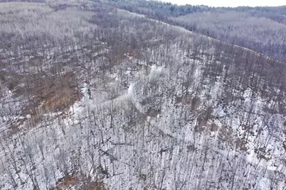 Tbd 315th Avenue, Laporte, MN 56461 - Photo 3