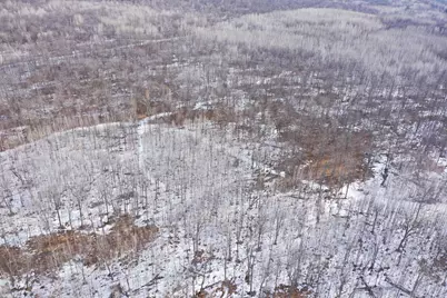 Tbd 315th Avenue, Laporte, MN 56461 - Photo 5