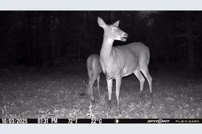 Tbd 315th Avenue, Laporte, MN 56461 - Photo 23