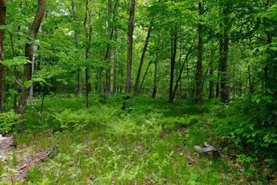 Tbd 315th Avenue, Laporte, MN 56461 - Photo 15