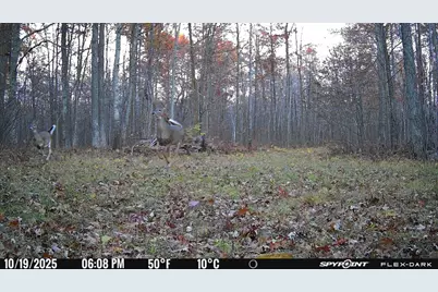 Tbd 315th Avenue, Laporte, MN 56461 - Photo 27