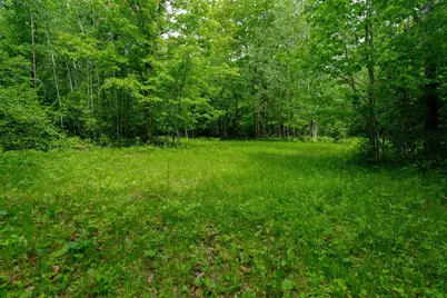 Tbd 315th Avenue, Laporte, MN 56461 - Photo 13