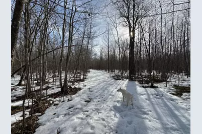 Tbd 315th Avenue, Laporte, MN 56461 - Photo 11