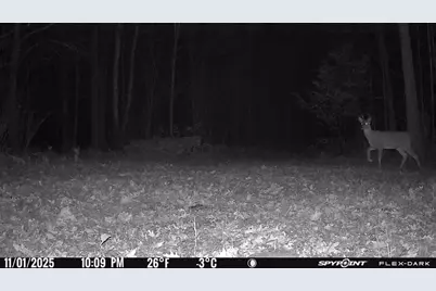 Tbd 315th Avenue, Laporte, MN 56461 - Photo 29