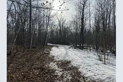 Tbd 315th Avenue, Laporte, MN 56461 - Photo 13