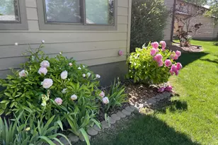 902 10th St S, Benson, MN 56215 - Photo 11