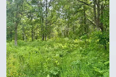 Lot 2 Blk 1 Eagle Drive NW, Walker, MN 56484 - Photo 3