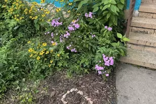 4145 44th Ave S, Minneapolis, MN 55406 - Photo 29