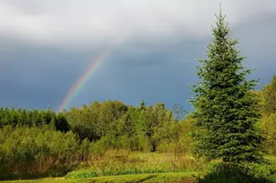 232 Scenic Estates Dr, Bigfork, MN 56628 - Photo 51