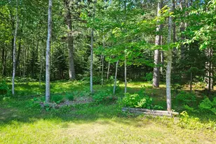 232 Scenic Estates Dr, Bigfork, MN 56628 - Photo 25