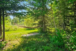 232 Scenic Estates Dr, Bigfork, MN 56628 - Photo 15