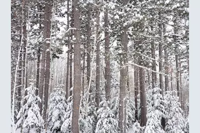 232 Scenic Estates Drive, Bigfork, MN 56628 - Photo 57