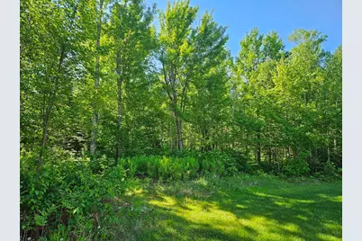 232 Scenic Estates Drive, Bigfork, MN 56628 - Photo 17