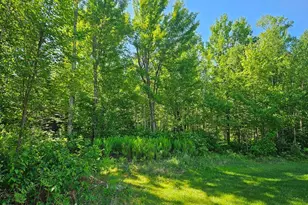 232 Scenic Estates Dr, Bigfork, MN 56628 - Photo 17