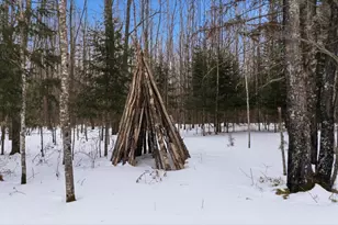 232 Scenic Estates Dr, Bigfork, MN 56628 - Photo 61